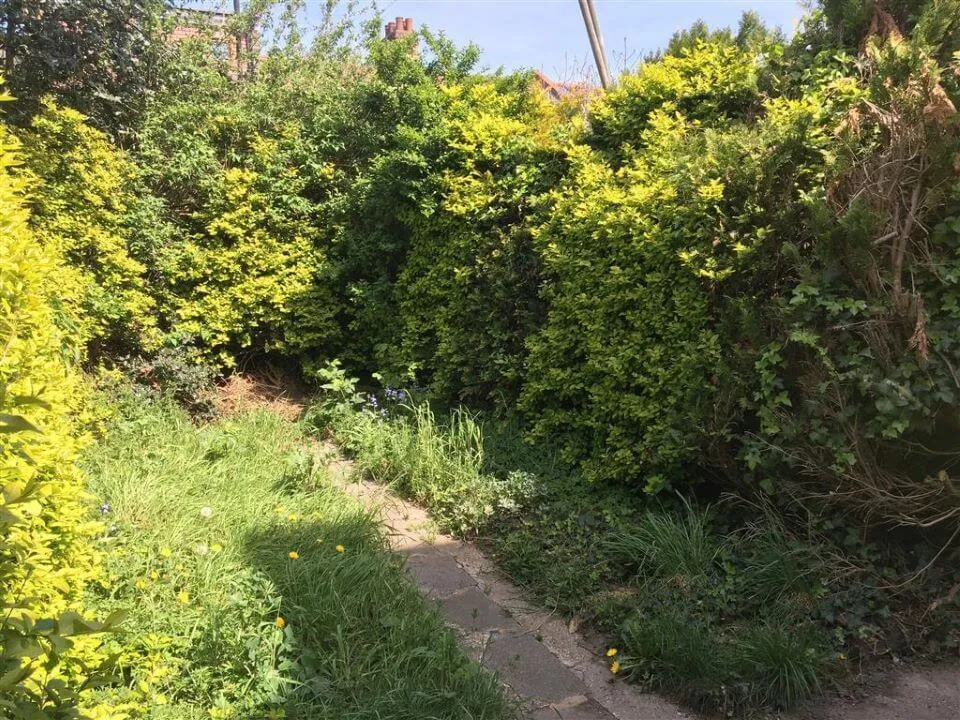 21 Denbigh Road, East Ham, London E6 3LF - garden