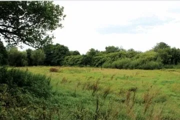 Land to the west side of Tollgate Road, Sedlescombe, Battle, East Sussex TN33 0RH - sold at auction