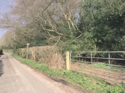 Plot 12, Wilderness Lane, Hadlow Down, Uckfield, East Sussex TN22 4HX - land sold at auction