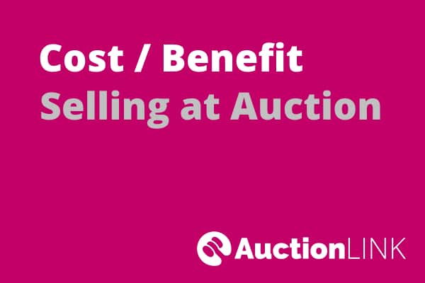 Selling a House at Auction - Costs Benefit Analysis Selling a House at Auction - Costs Benefit Analysis