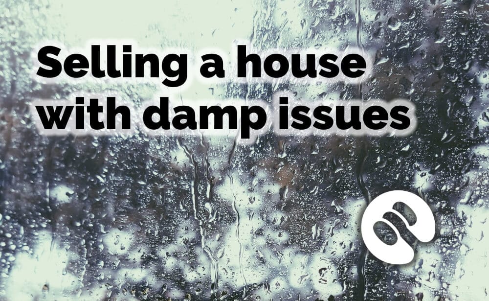 Selling a house with damp issues